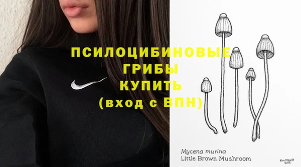 ECSTASY Аркадак