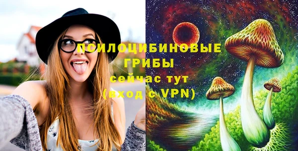 прущая мука Алзамай