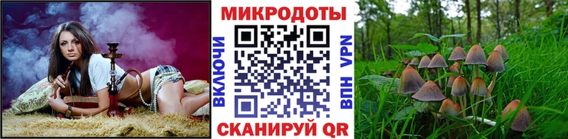 shop состав  Ханты-Мансийск  Псилоцибиновые грибы Psilocybine cubensis 